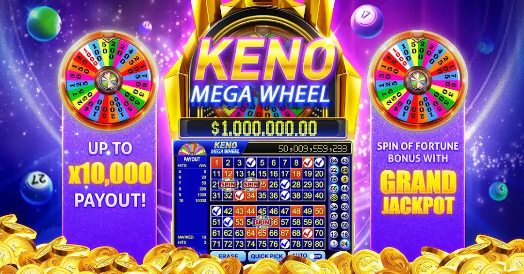 788win betf cassino on-line